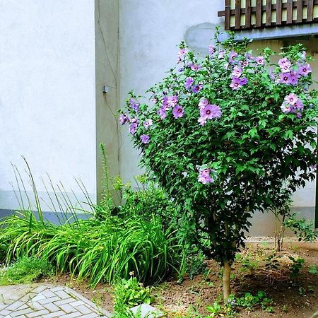 Room In City Center Halle With Shared Bathroom & Kitchen - Free Wifi, Netflix, Ipad & Ground Floor Exteriör bild